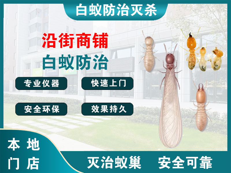 建邺沿街商铺白蚁防治