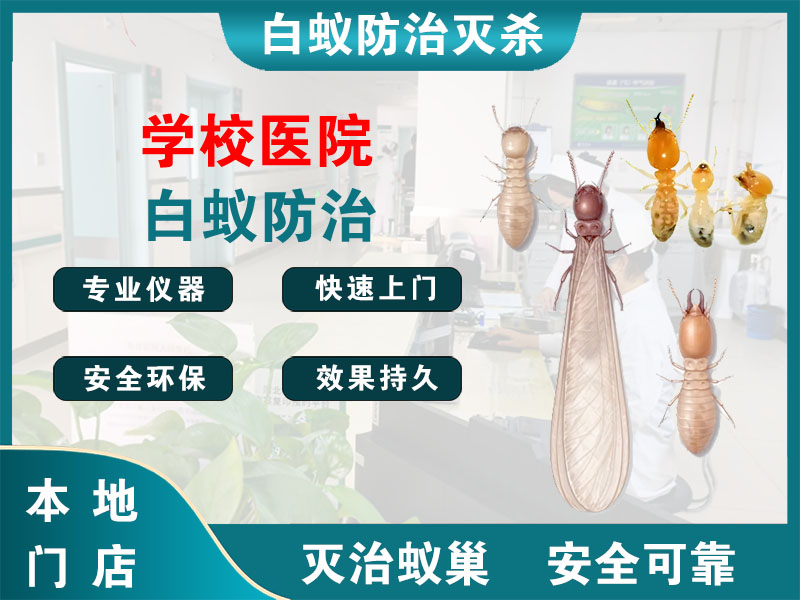 建邺学校医院白蚁防治