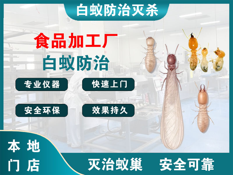 建邺食品加工厂白蚁防治