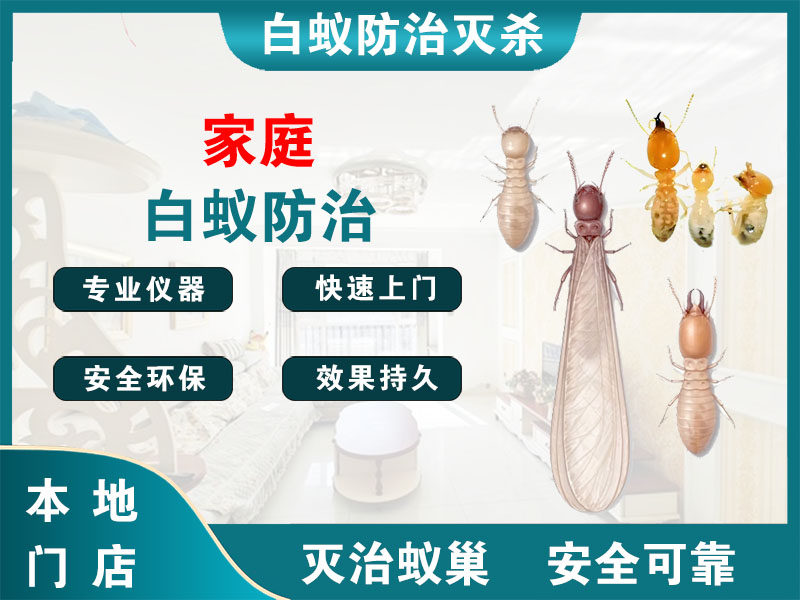 建邺家庭白蚁防治