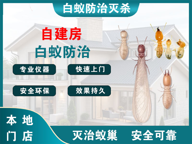 建邺自建房白蚁防治