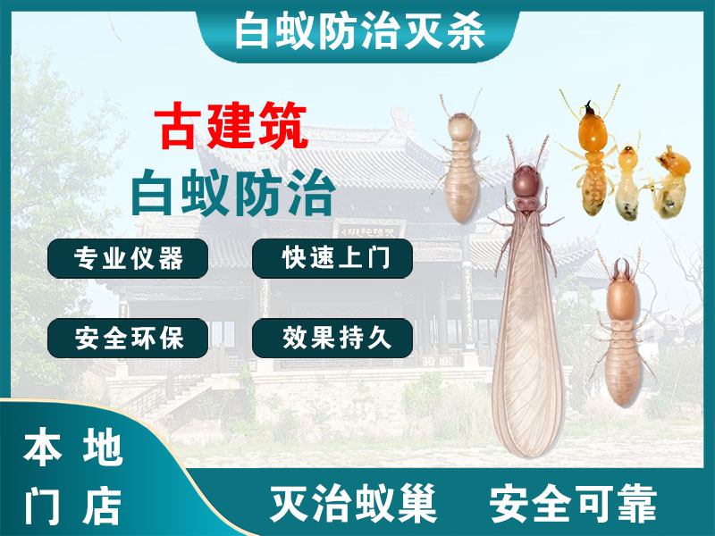 建邺古建筑白蚁防治
