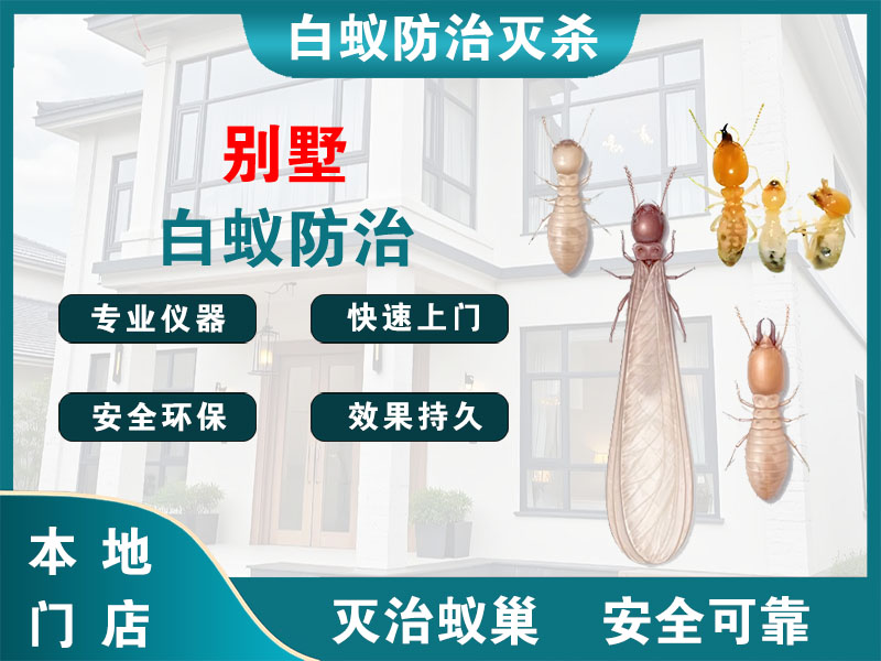 建邺别墅白蚁防治