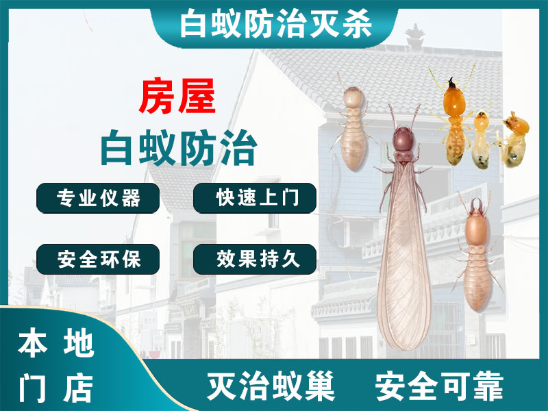 建邺房屋白蚁防治